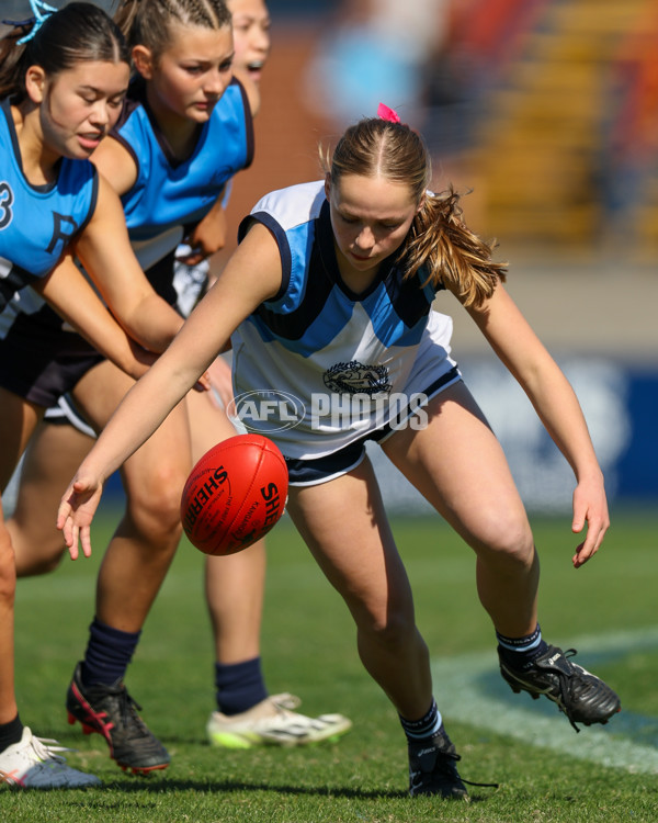 2025 Herald Sun Shield - Division 1 Intermediate Girls Grand Final - A-61595708