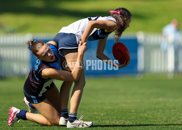 2025 Herald Sun Shield - Division 1 Intermediate Girls Grand Final - A-61595711