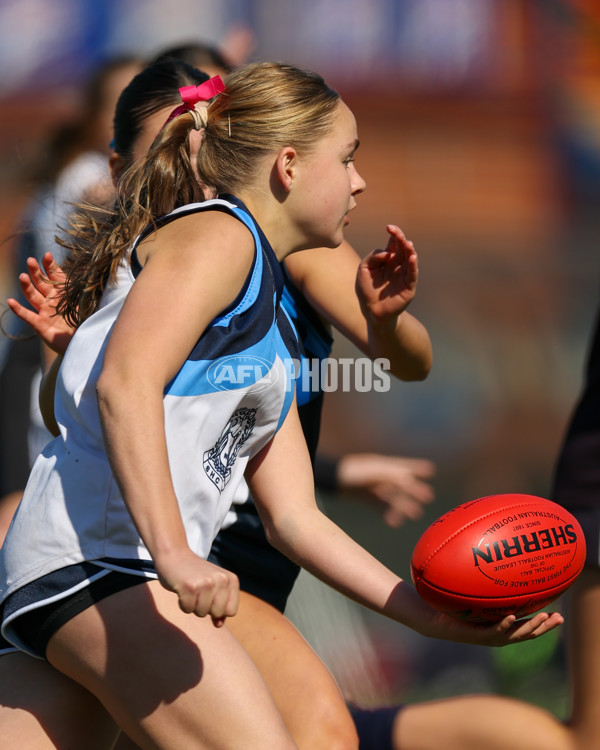 2025 Herald Sun Shield - Division 1 Intermediate Girls Grand Final - A-61595723
