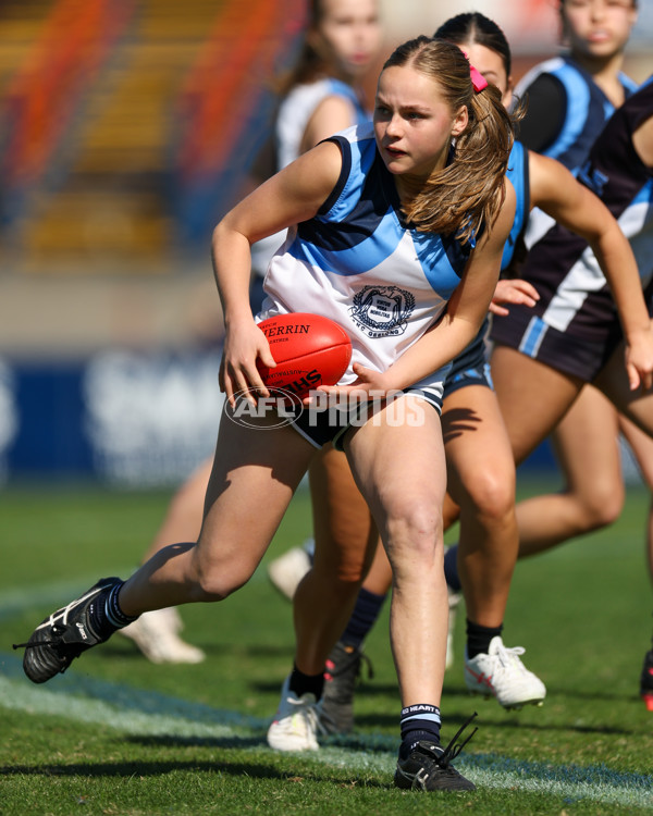 2025 Herald Sun Shield - Division 1 Intermediate Girls Grand Final - A-61595724