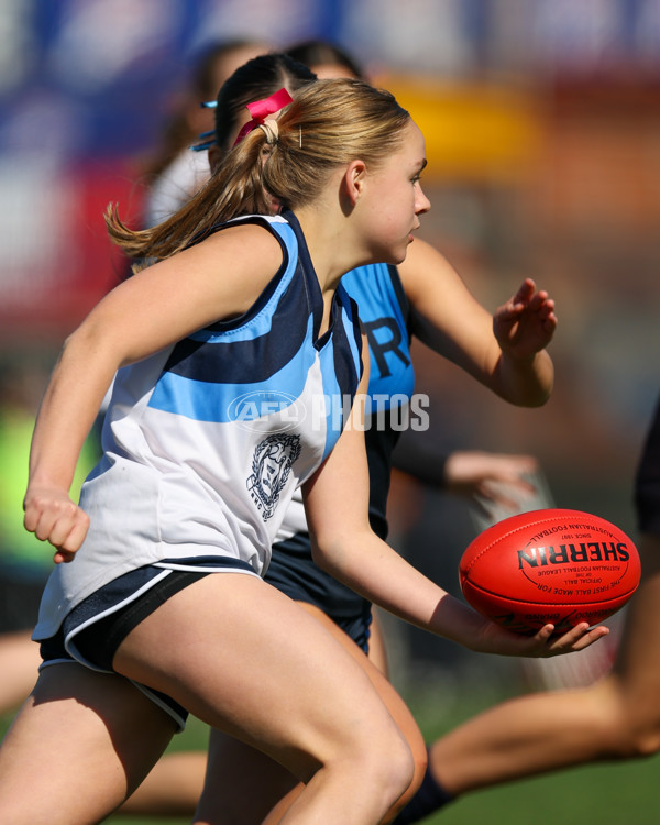 2025 Herald Sun Shield - Division 1 Intermediate Girls Grand Final - A-61595726