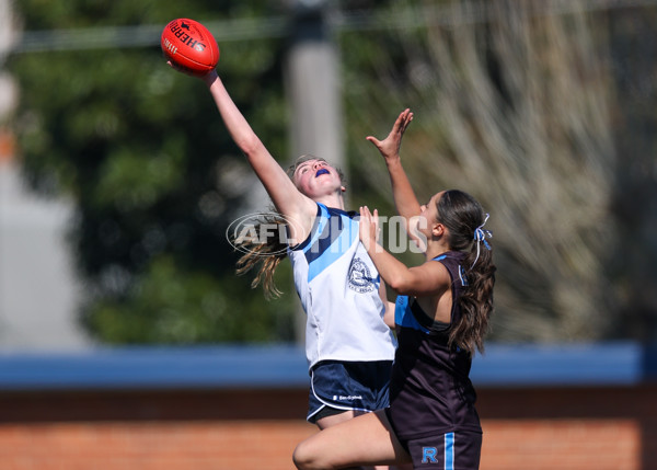 2025 Herald Sun Shield - Division 1 Intermediate Girls Grand Final - A-61595743