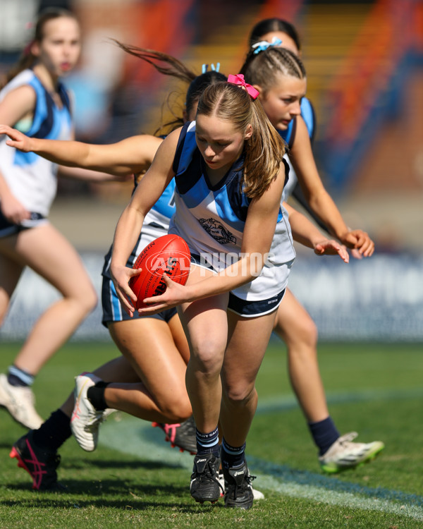 2025 Herald Sun Shield - Division 1 Intermediate Girls Grand Final - A-61603638