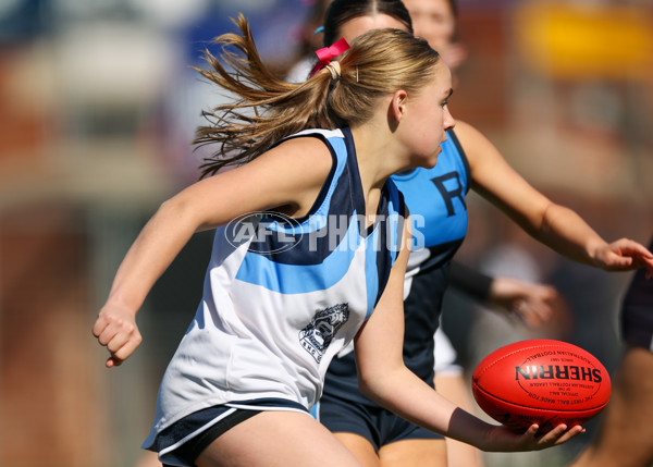 2025 Herald Sun Shield - Division 1 Intermediate Girls Grand Final - A-61603639