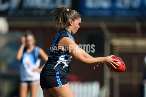 2025 Herald Sun Shield - Division 1 Intermediate Girls Grand Final - A-61603665