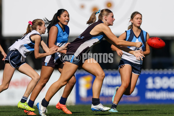 2025 Herald Sun Shield - Division 1 Intermediate Girls Grand Final - A-61603666