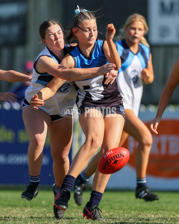 2025 Herald Sun Shield - Division 1 Intermediate Girls Grand Final - A-61603689