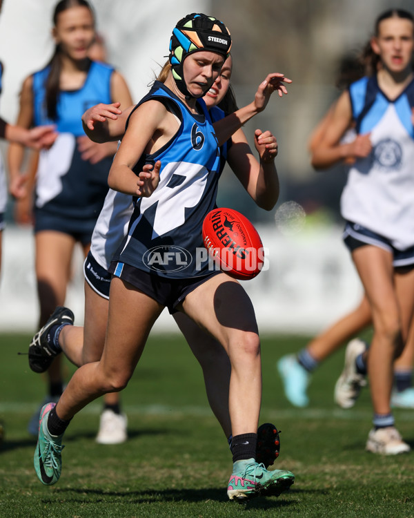 2025 Herald Sun Shield - Division 1 Intermediate Girls Grand Final - A-61603699