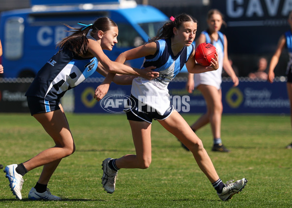 2025 Herald Sun Shield - Division 1 Intermediate Girls Grand Final - A-61603709
