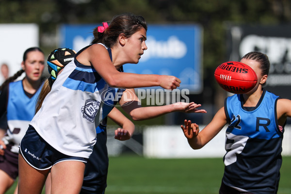 2025 Herald Sun Shield - Division 1 Intermediate Girls Grand Final - A-61603712