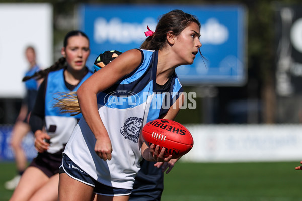 2025 Herald Sun Shield - Division 1 Intermediate Girls Grand Final - A-61603716