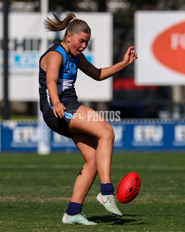 2025 Herald Sun Shield - Division 1 Intermediate Girls Grand Final - A-61607388