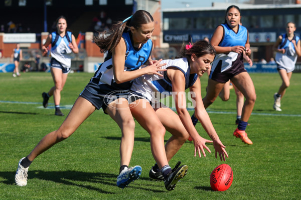2025 Herald Sun Shield - Division 1 Intermediate Girls Grand Final - A-61607394