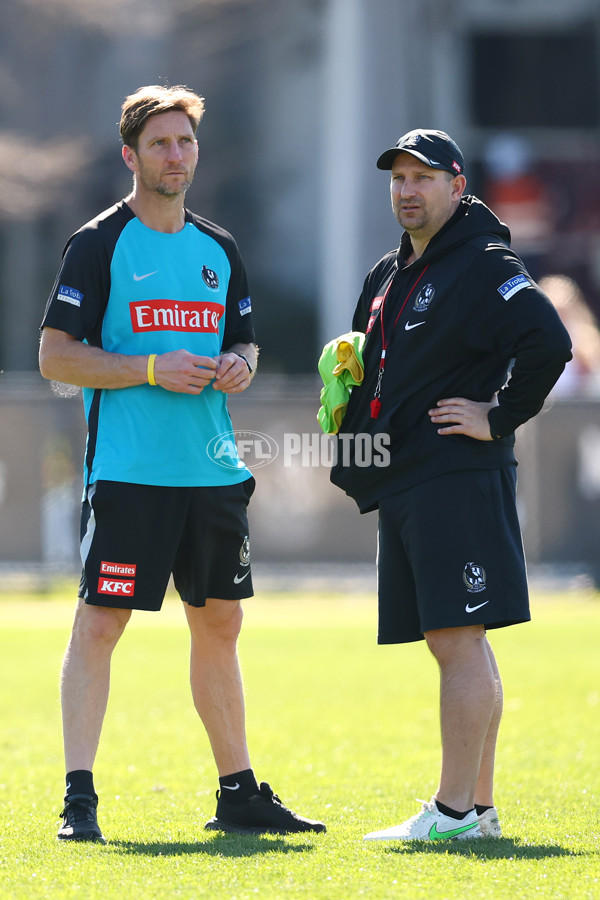 AFL 2025 Training - Collingwood 210825 - A-61607445