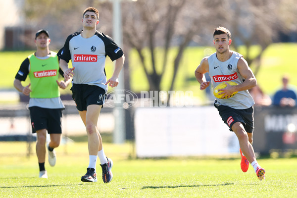 AFL 2025 Training - Collingwood 210825 - A-61621012