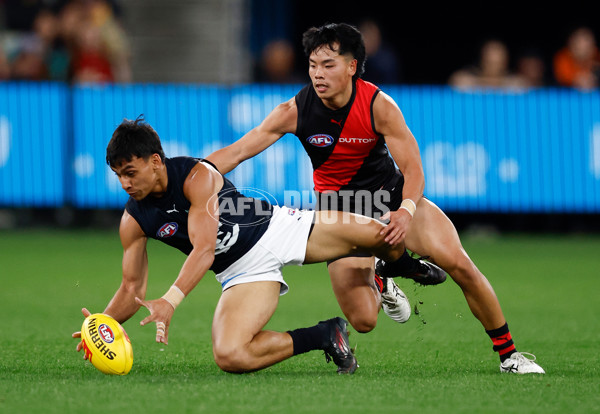 AFL 2025 Round 24 - Essendon v Carlton - A-61623211