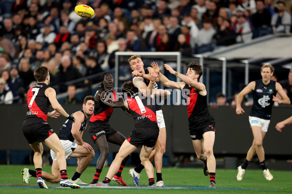 AFL 2025 Round 24 - Essendon v Carlton - A-61629296