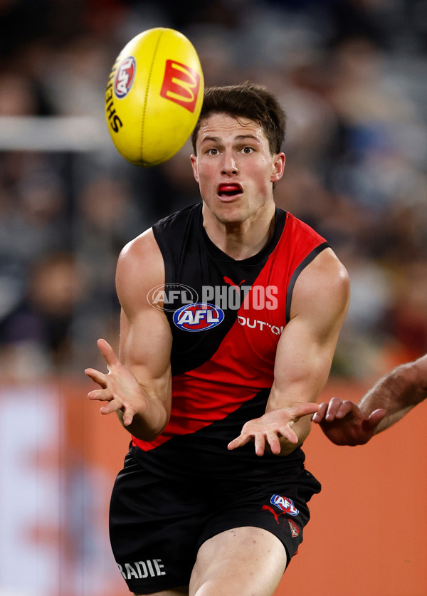 AFL 2025 Round 24 - Essendon v Carlton - A-61633946