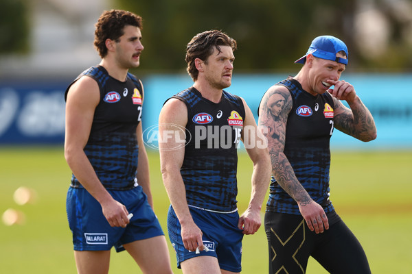 AFL 2025 Training - Western Bulldogs 220825 - A-61635593