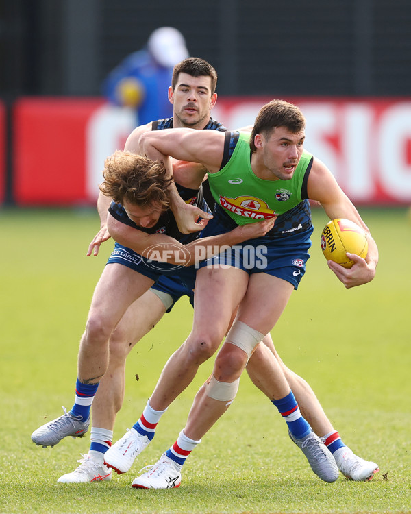AFL 2025 Training - Western Bulldogs 220825 - A-61635600