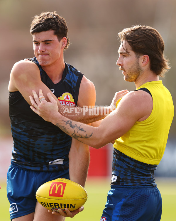 AFL 2025 Training - Western Bulldogs 220825 - A-61635630