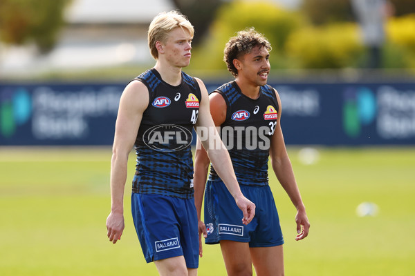AFL 2025 Training - Western Bulldogs 220825 - A-61635882
