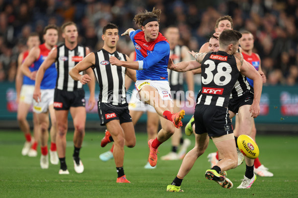 AFL 2025 Round 24 - Collingwood v Melbourne - A-61638955