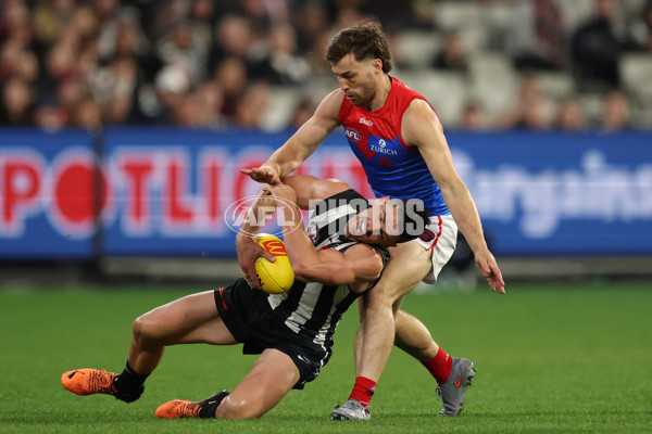 AFL 2025 Round 24 - Collingwood v Melbourne - A-61638956