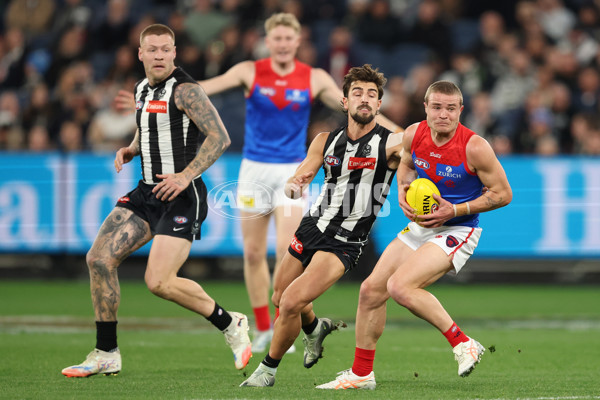 AFL 2025 Round 24 - Collingwood v Melbourne - A-61639363
