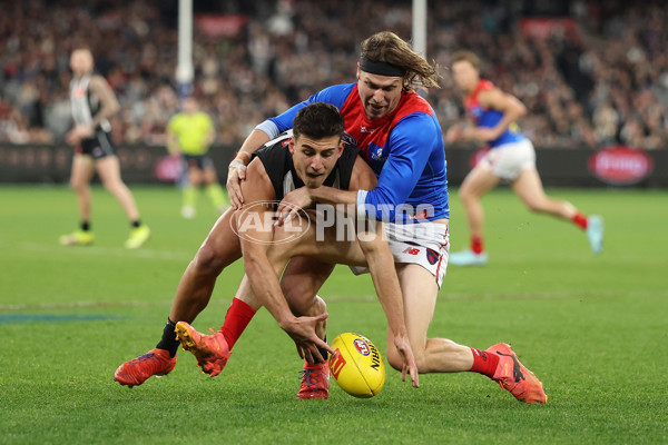 AFL 2025 Round 24 - Collingwood v Melbourne - A-61641552