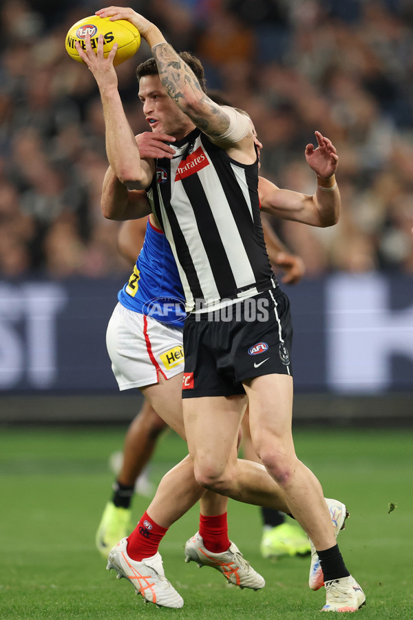 AFL 2025 Round 24 - Collingwood v Melbourne - A-61641564
