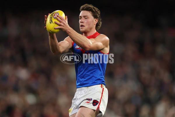 AFL 2025 Round 24 - Collingwood v Melbourne - A-61641877