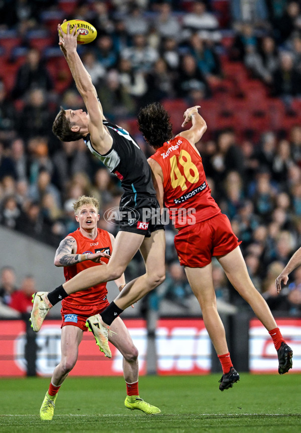 AFL 2025 Round 24 - Port Adelaide v Gold Coast - A-61644161