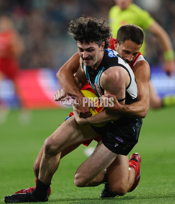 AFL 2025 Round 24 - Port Adelaide v Gold Coast - A-61644166