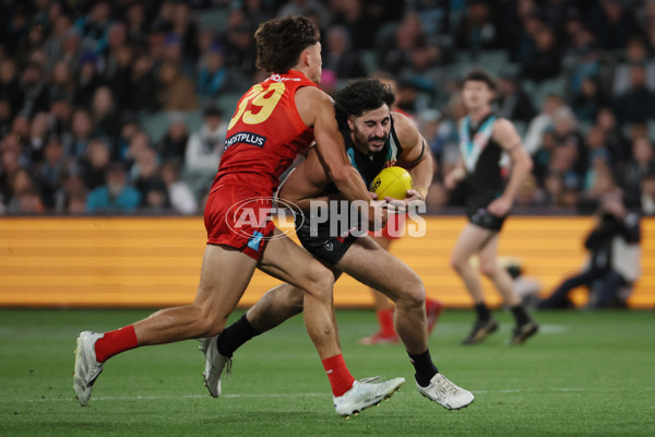 AFL 2025 Round 24 - Port Adelaide v Gold Coast - A-61644204