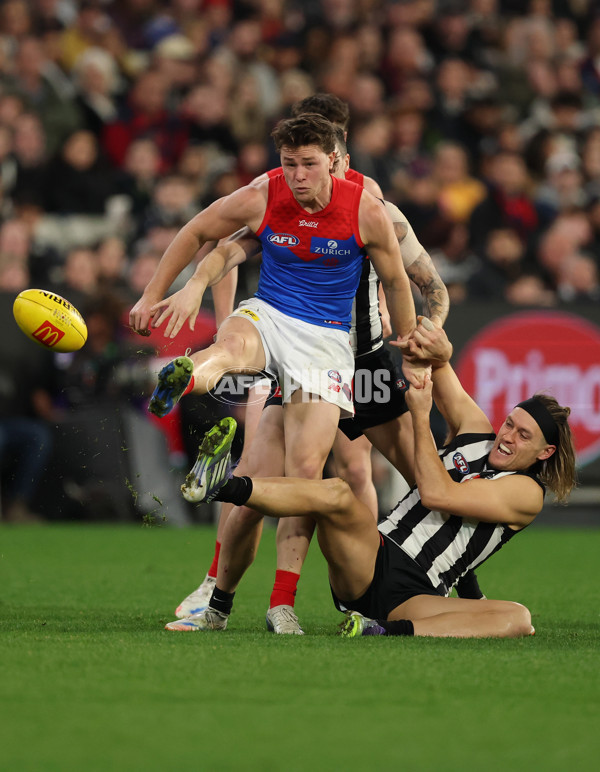 AFL 2025 Round 24 - Collingwood v Melbourne - A-61644782
