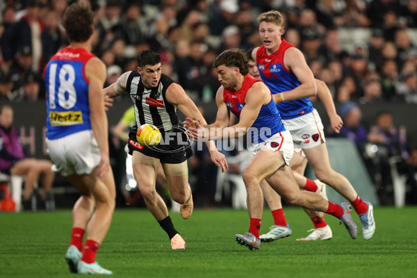 AFL 2025 Round 24 - Collingwood v Melbourne - A-61644784