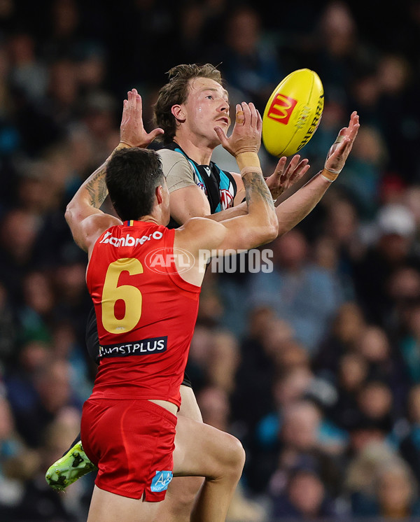 AFL 2025 Round 24 - Port Adelaide v Gold Coast - A-61644789