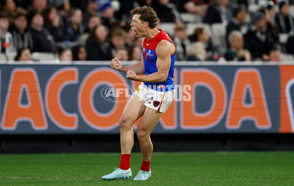AFL 2025 Round 24 - Collingwood v Melbourne - A-61646921