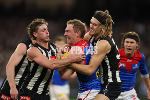 AFL 2025 Round 24 - Collingwood v Melbourne - A-61646925