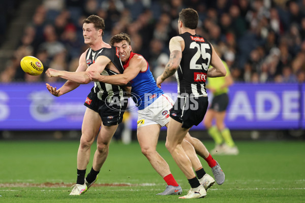 AFL 2025 Round 24 - Collingwood v Melbourne - A-61646943