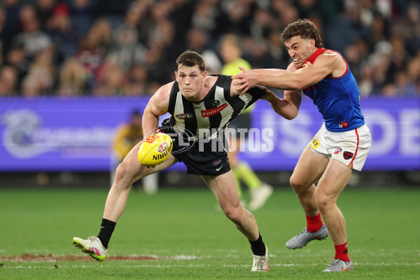 AFL 2025 Round 24 - Collingwood v Melbourne - A-61646944