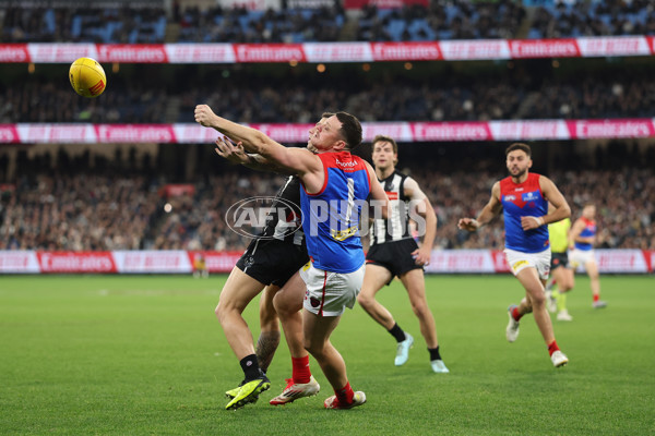 AFL 2025 Round 24 - Collingwood v Melbourne - A-61647556