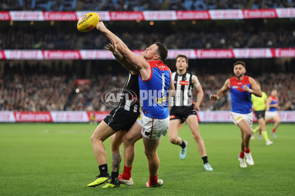 AFL 2025 Round 24 - Collingwood v Melbourne - A-61647557