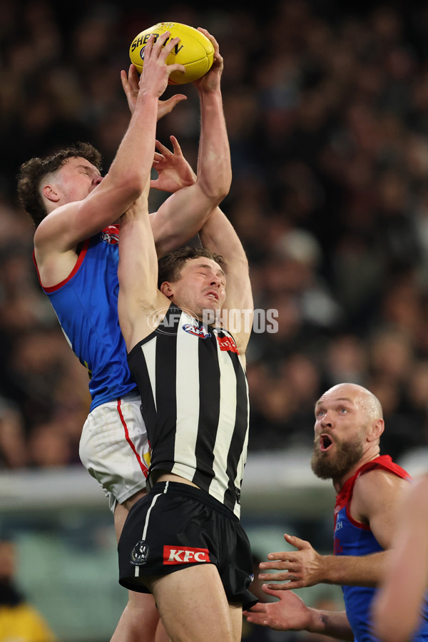 AFL 2025 Round 24 - Collingwood v Melbourne - A-61649606