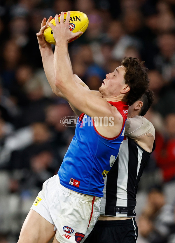 AFL 2025 Round 24 - Collingwood v Melbourne - A-61649693