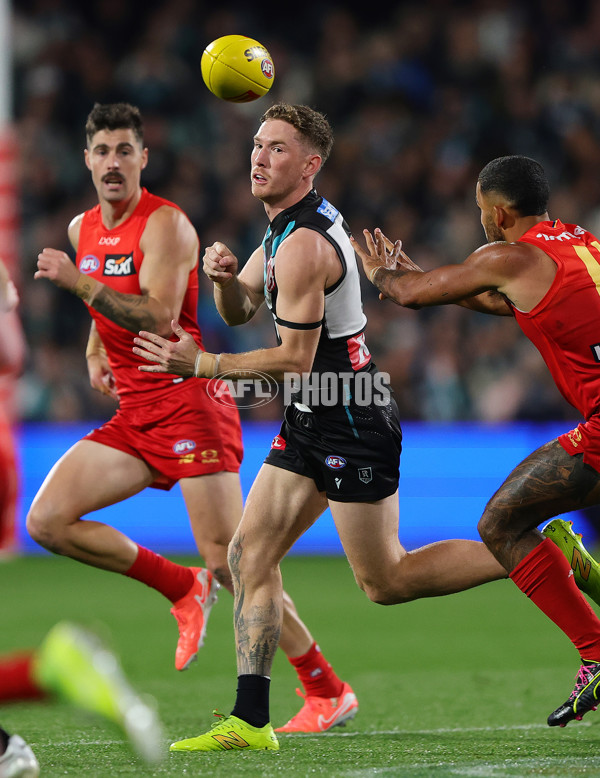 AFL 2025 Round 24 - Port Adelaide v Gold Coast - A-61649753