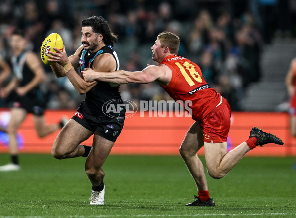 AFL 2025 Round 24 - Port Adelaide v Gold Coast - A-61652405