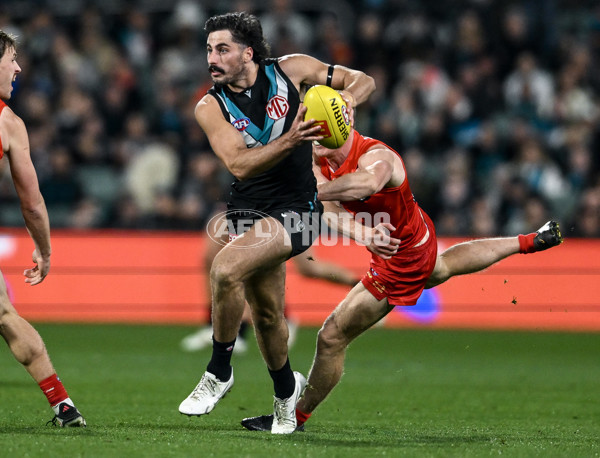 AFL 2025 Round 24 - Port Adelaide v Gold Coast - A-61652410