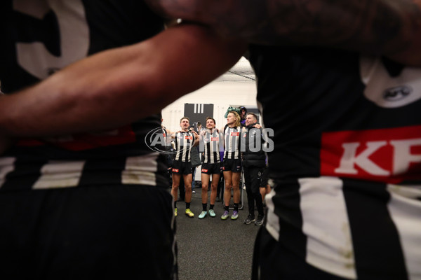 AFL 2025 Round 24 - Collingwood v Melbourne - A-61652707